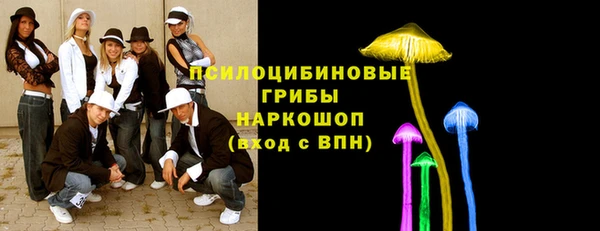 стаф Пересвет