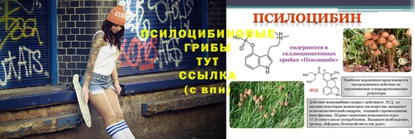 каннабис Болотное